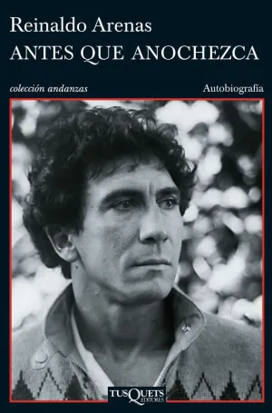 Antes que Anochezca