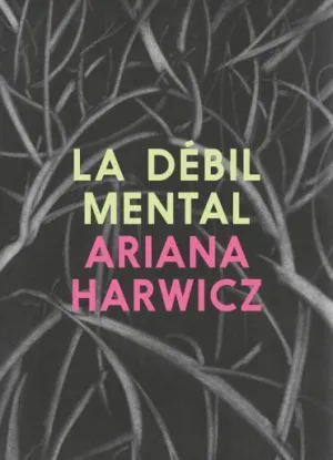 LA DEBIL MENTAL LA DEBIL MENTAL