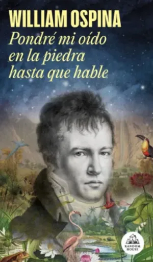 PONDRE MI OIDO EN LA PIEDRA HASTA QUE HABLE
