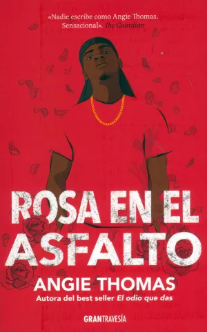 ROSA EN EL ASFALTO ROSA EN EL ASFALTO