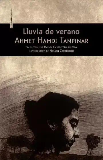 Lluvia de Verano