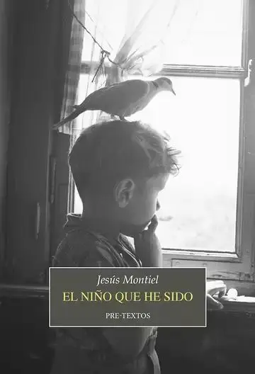 El Niño que He Sido