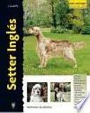 Setter Ingles