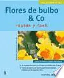 Flores de Bulbo y Co Rapido y Facil