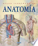 Atlas Ilustrado de Anatomia