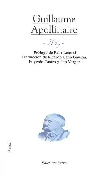 Hay