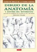 Dibujo de la Anatomia y Estudio del Movimiento