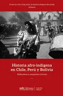 HISTORIA AFRO-INDÍGENA EN CHILE, PERÚ Y BOLIVIA. REFLEXIONES Y PROPUESTAS TEÓRICAS