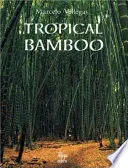 Tropical Bamboo Ingles